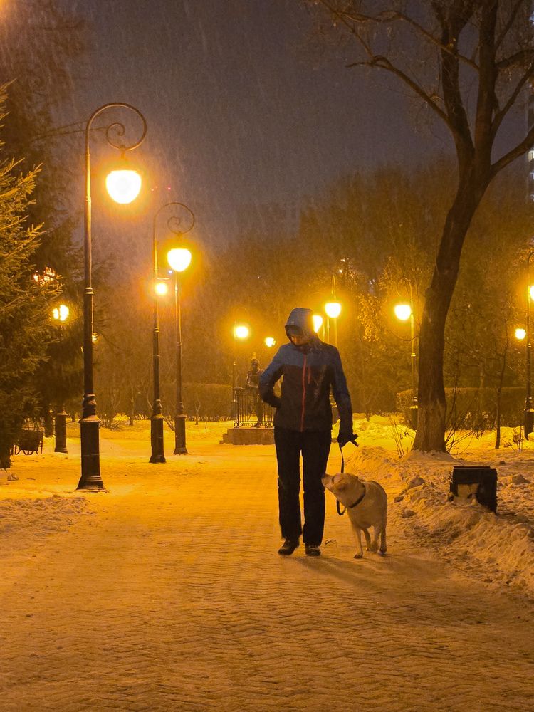 Фотография автора Ольга Дёмина