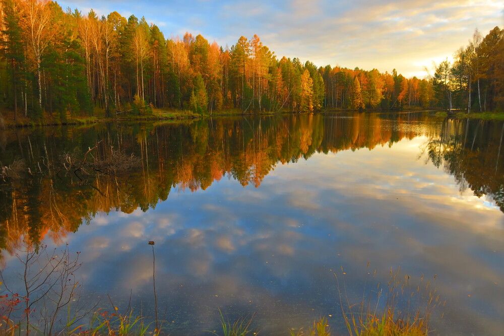 Photograph by Орл Про