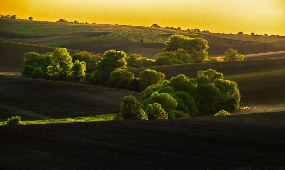 Фотография автора Krisztián Zámbó