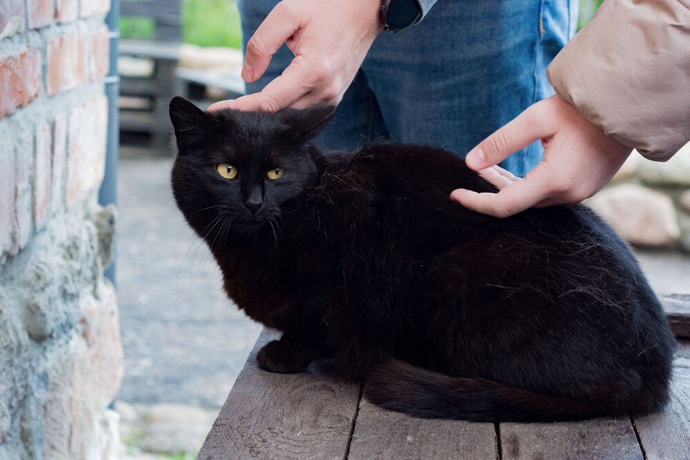 Photograph by Александра Васильева