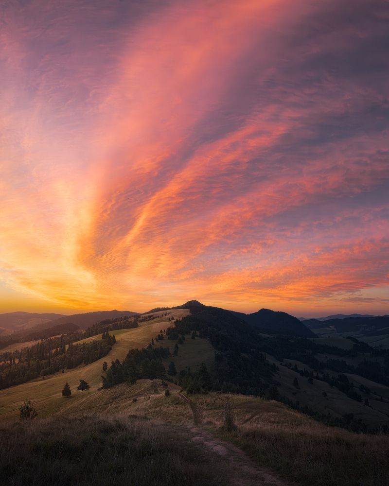 Photograph by Marcin Dobrowolski