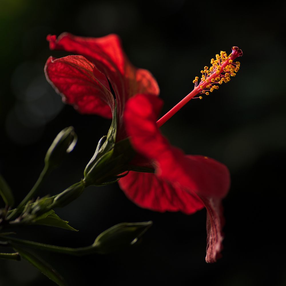 Photograph by Marcin Dobrowolski