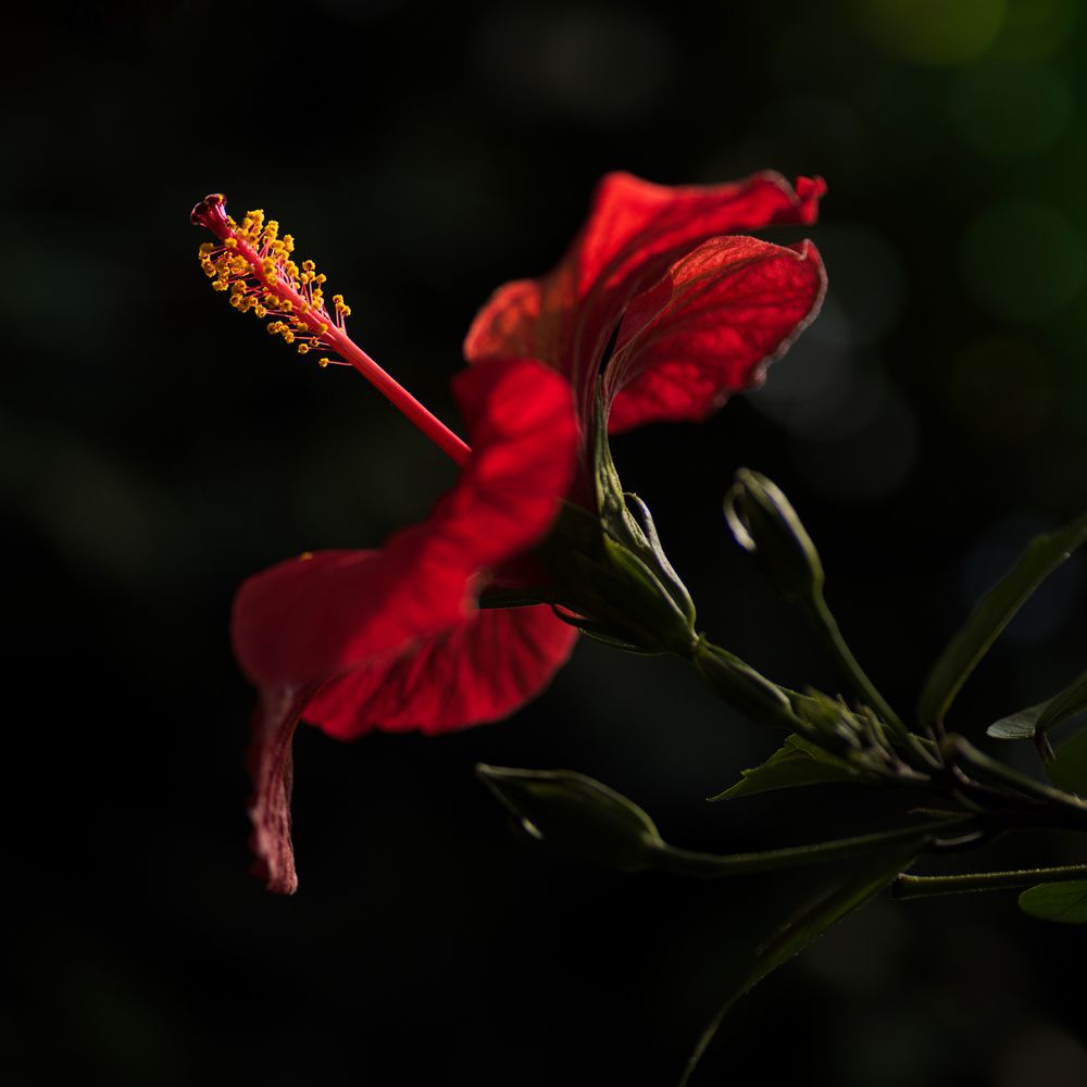 Photograph by Marcin Dobrowolski