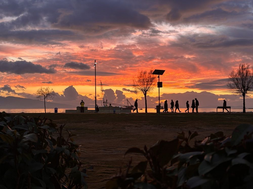 From reality to the horizon