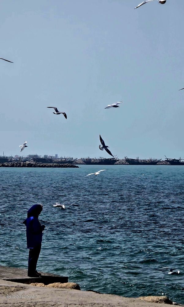 Photograph by behrooz roosta