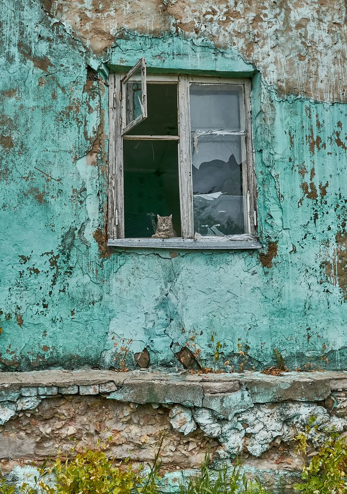 Последний жилец...