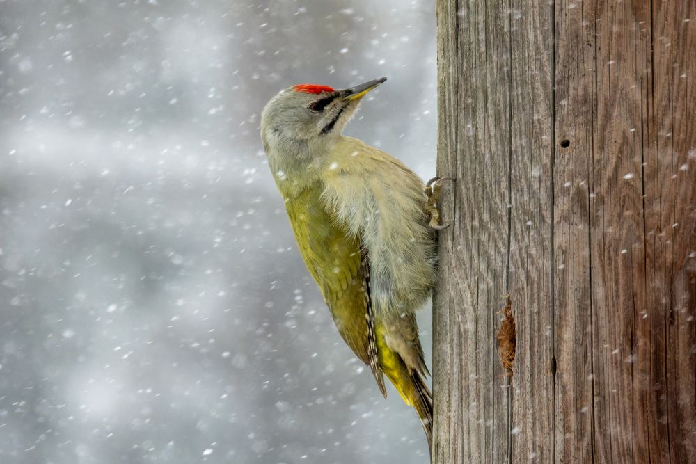 Photograph by АНДРЕЙ АБАКУМОВ