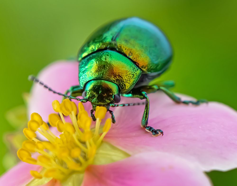 Photograph by Наталья Соколова