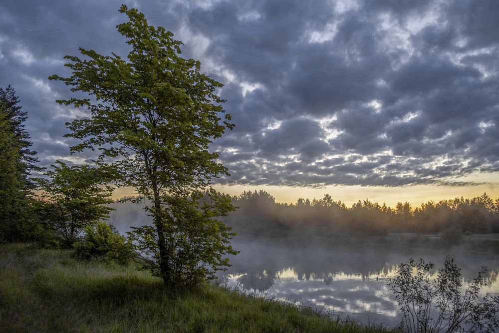 Photograph by АНДРЕЙ АБАКУМОВ
