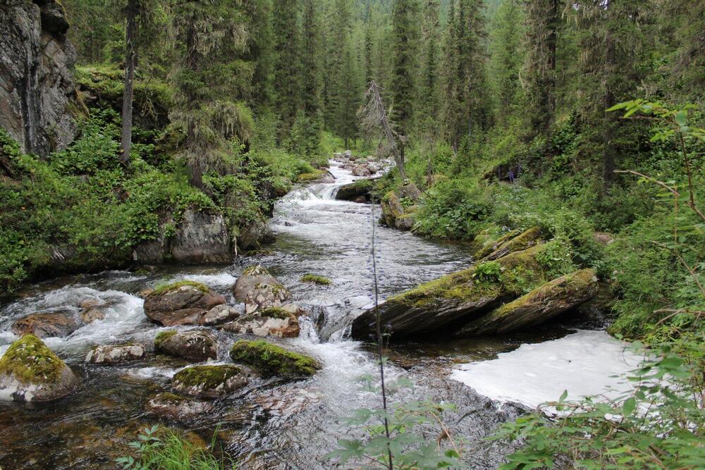 Фотография автора Людмила Таерова