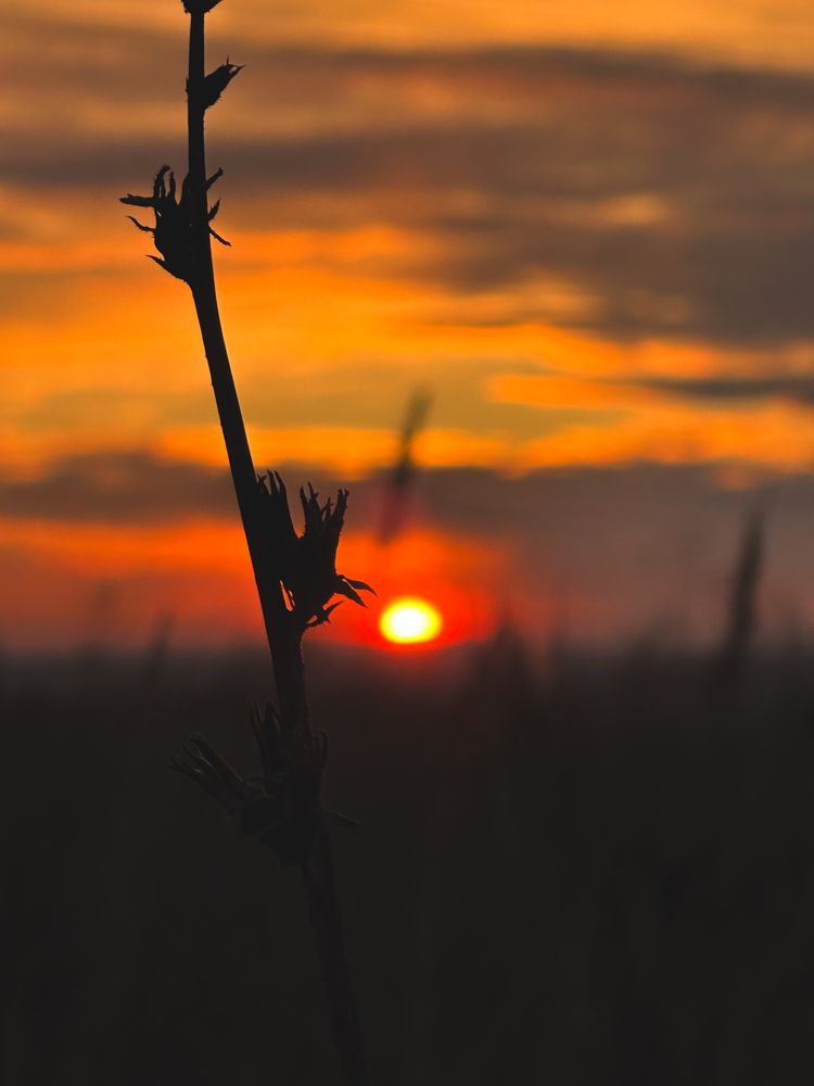 Photograph by Анастасия