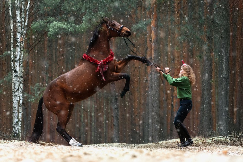 Photograph by Monika