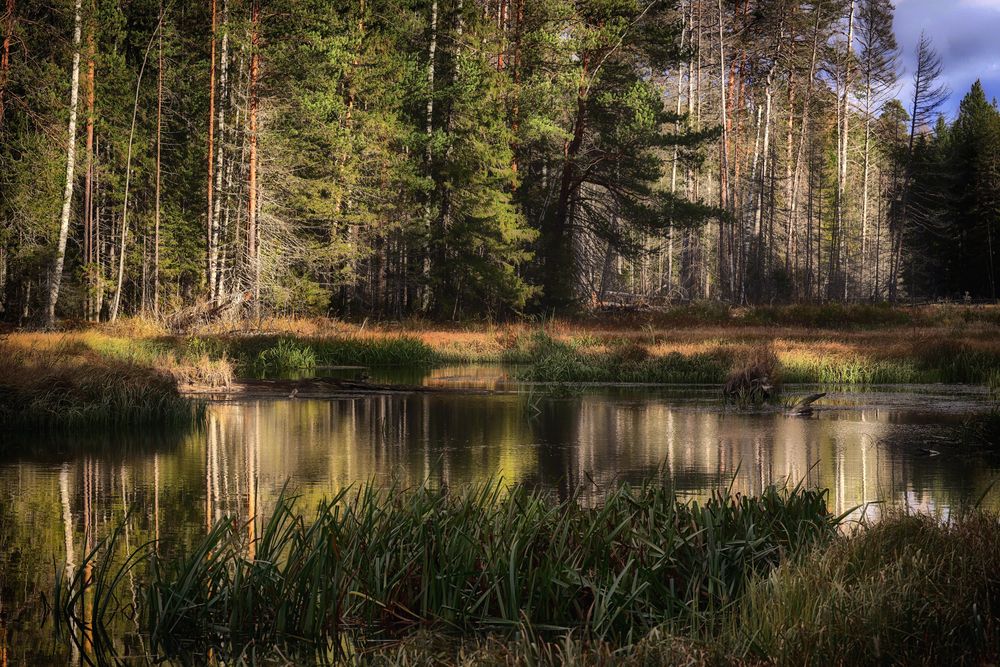 Фотография автора Павел Мартюшев