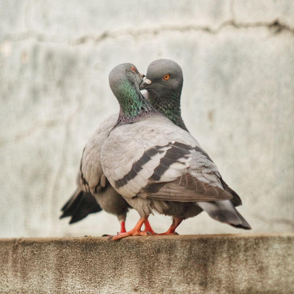 Photograph by Washiful Majid