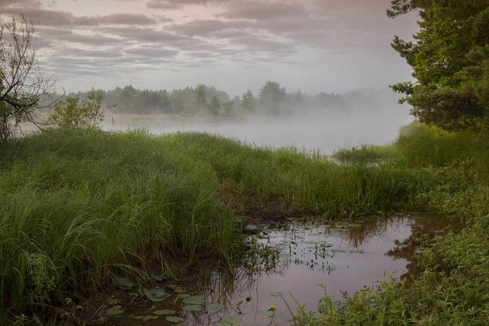 Photograph by АНДРЕЙ АБАКУМОВ