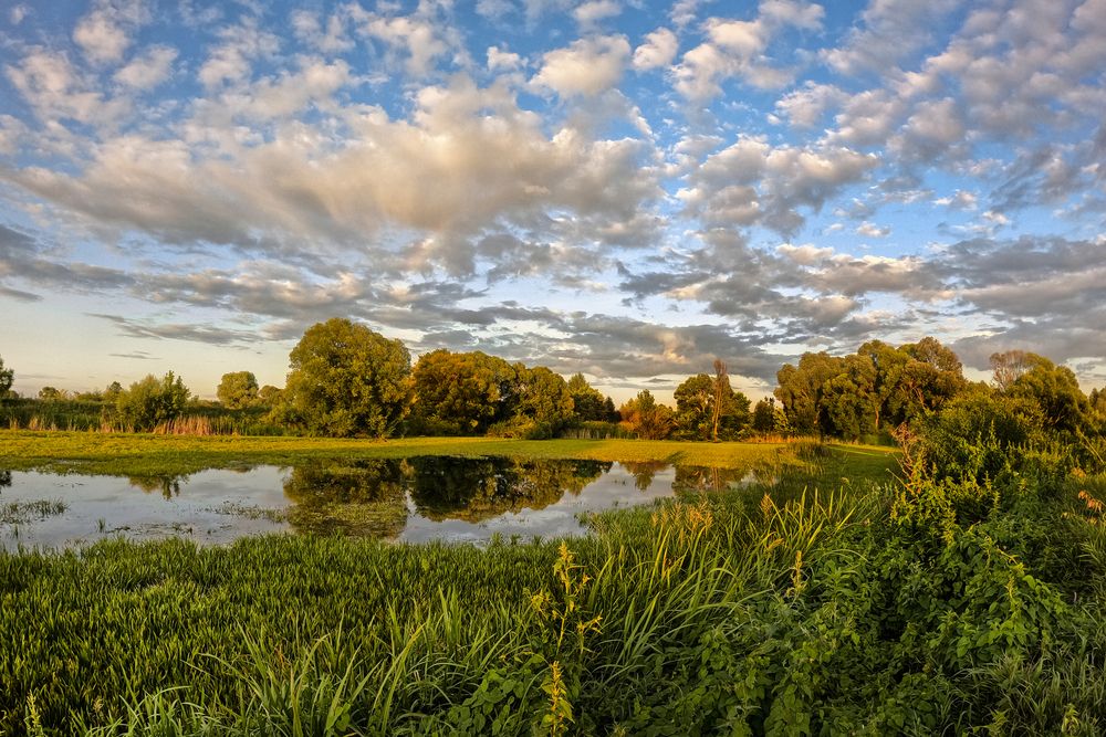 Photograph by АНДРЕЙ АБАКУМОВ