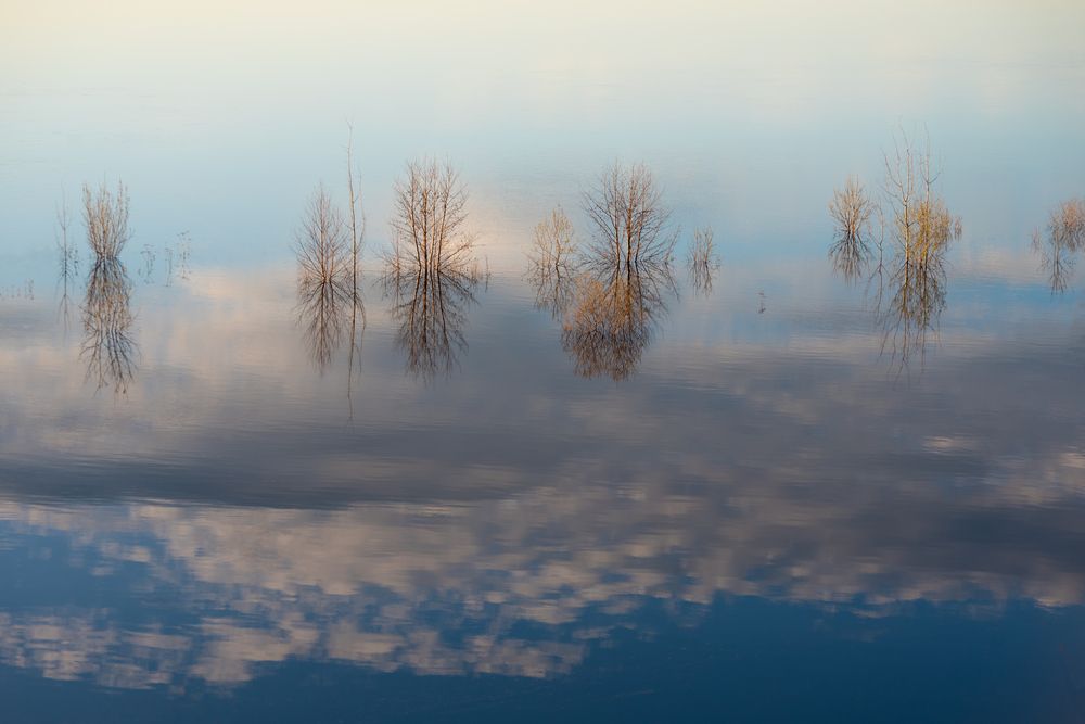 Фотография автора Ольга Крицак