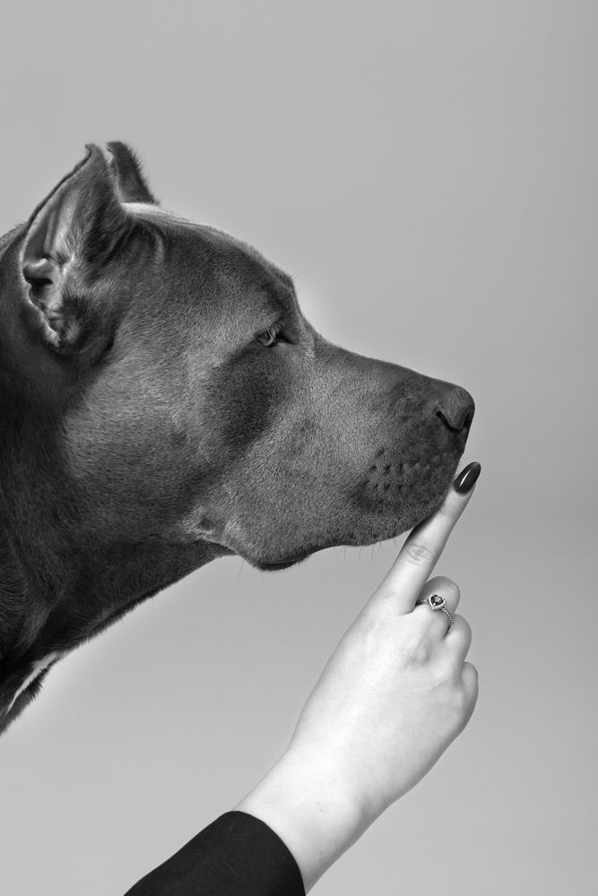 Photograph by Наталья Носова (Кучеренко)