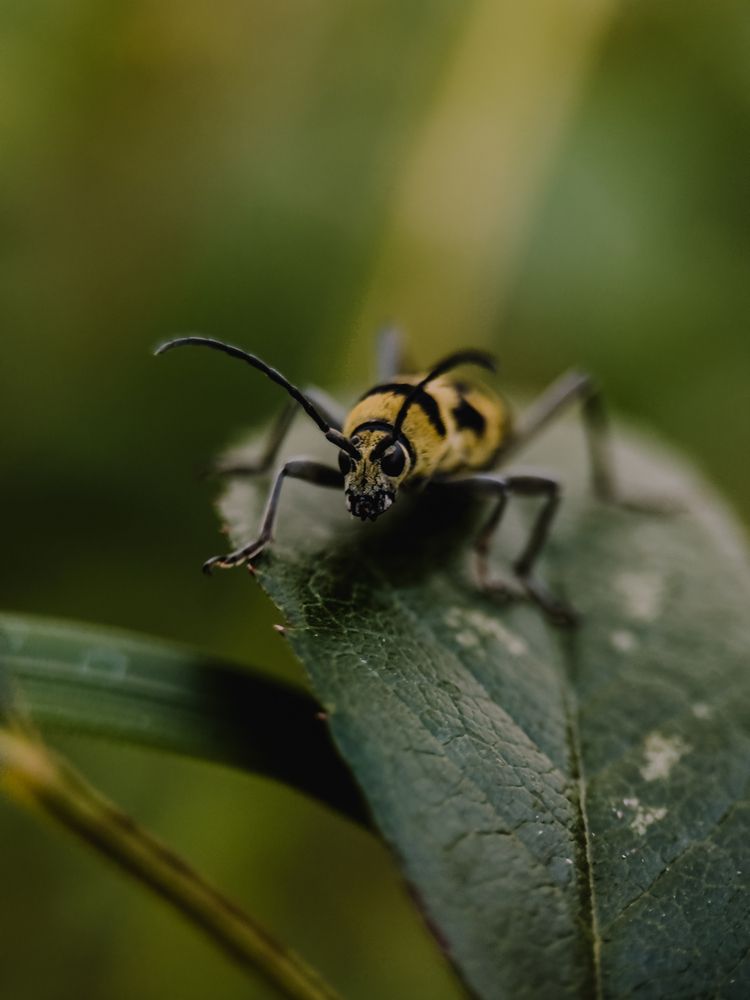 Photograph by Екатерина Щербинина