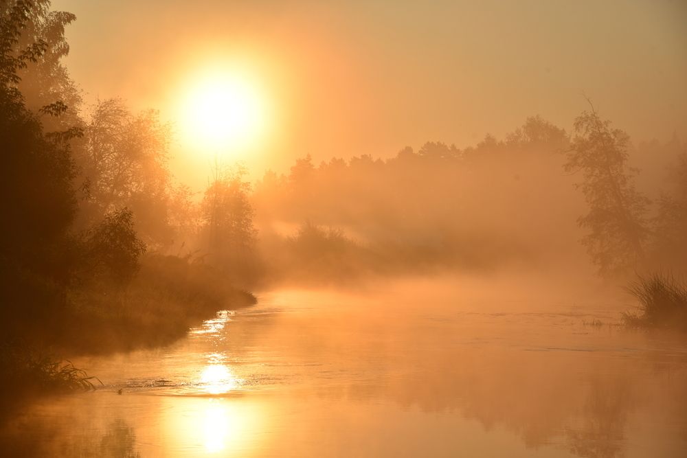 Сказочное утро.