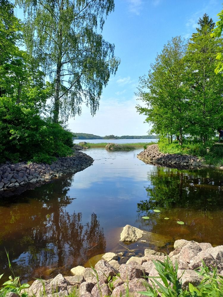 Photograph by Людмила Сотникова