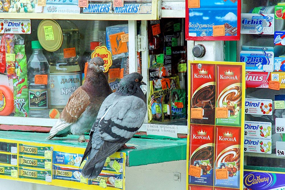 Photograph by Николай Семенец