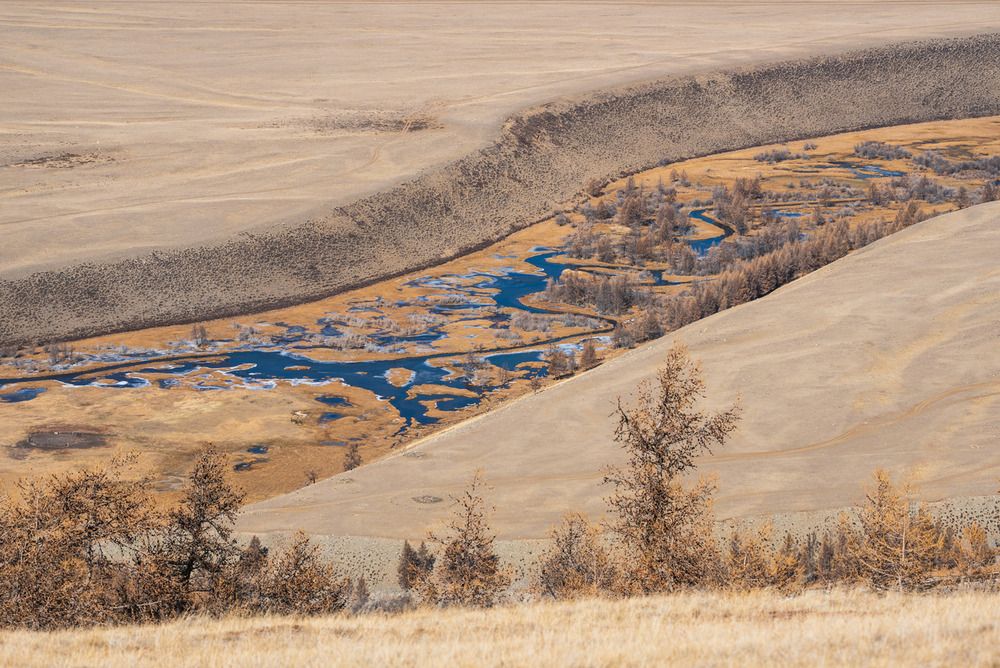 Фотография автора Ольга Крицак