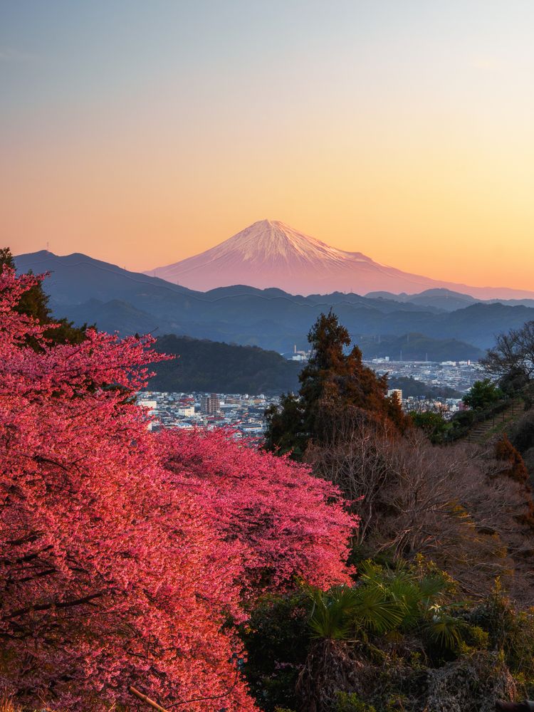 Photograph by Asahina Akira