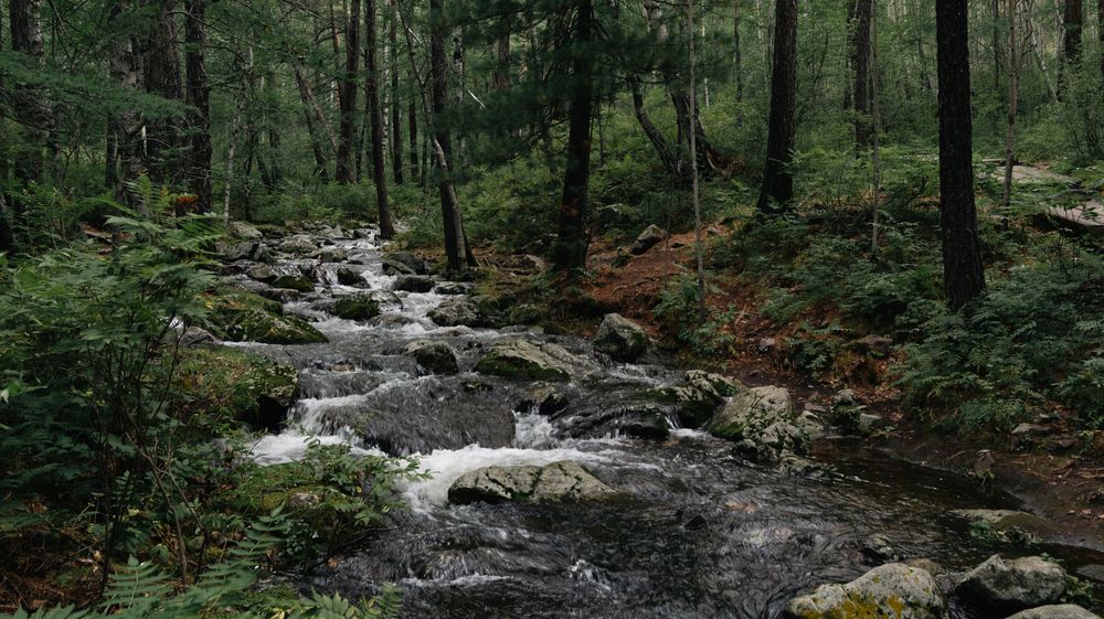 Photograph by Данил Баглаев