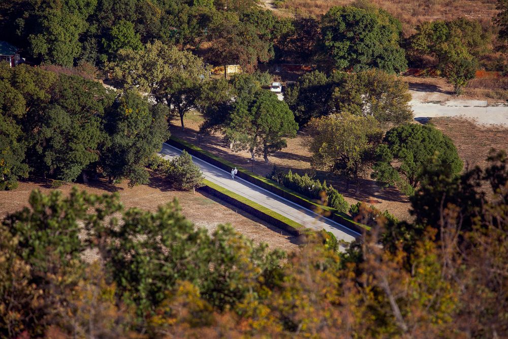 Чувства на века.