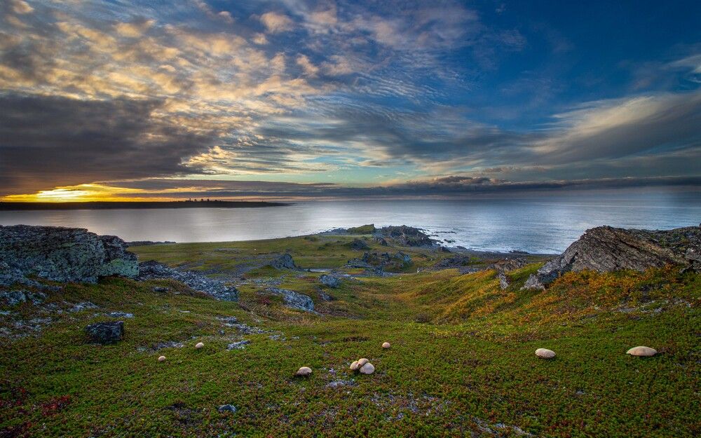 Photograph by Александр Довганюк