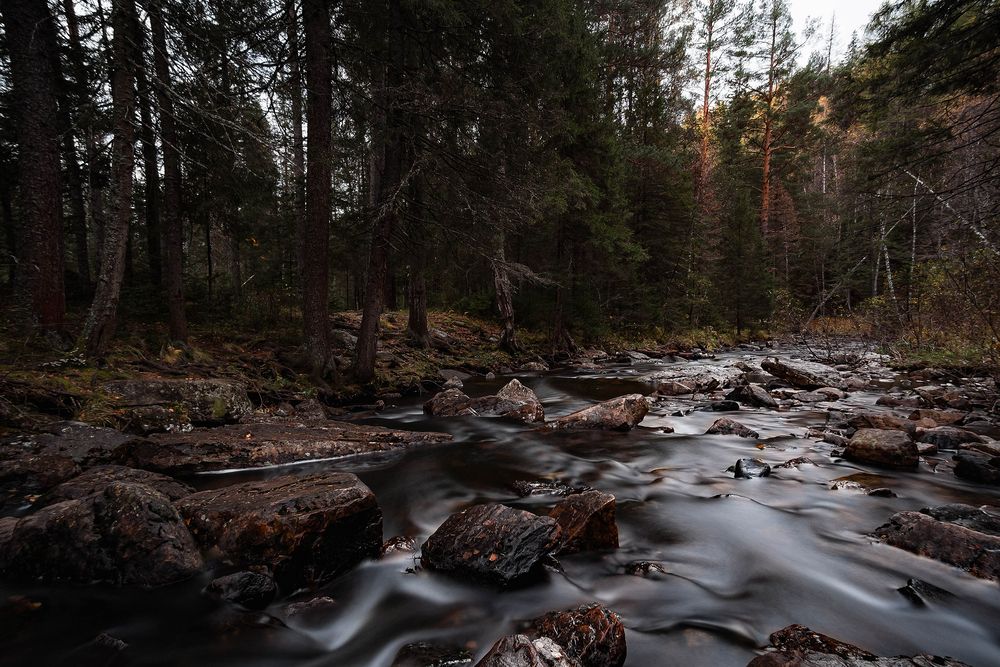 Photograph by Максим Колосов