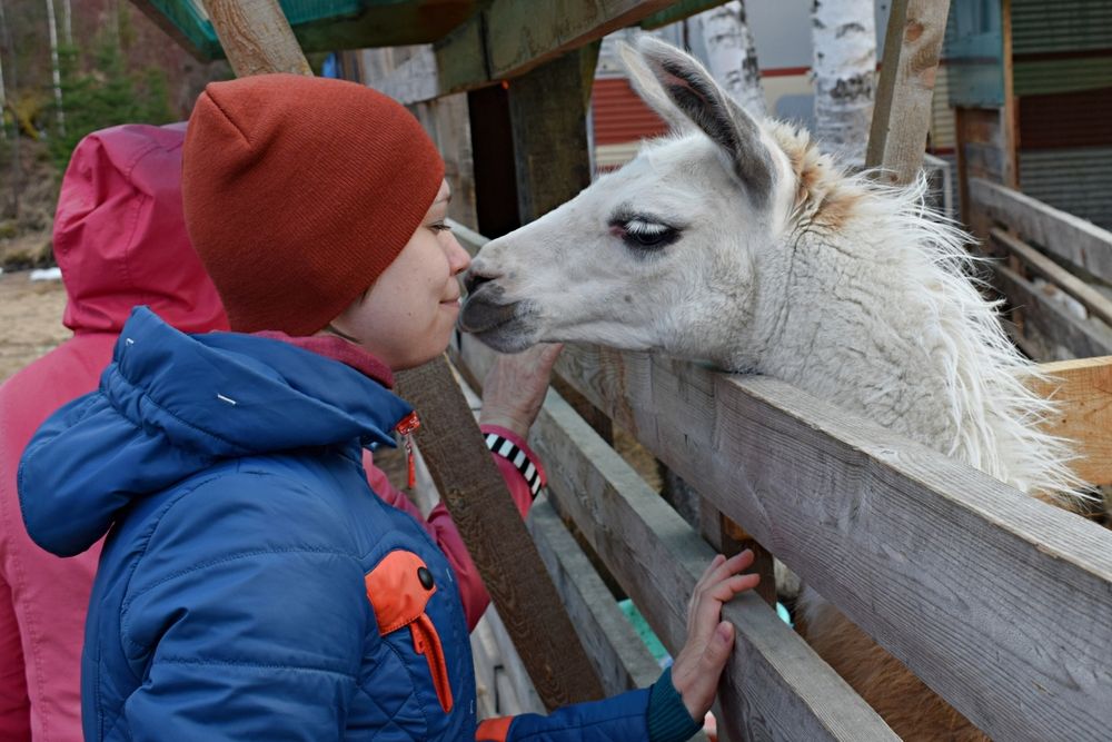 Photograph by Игорь Седунов