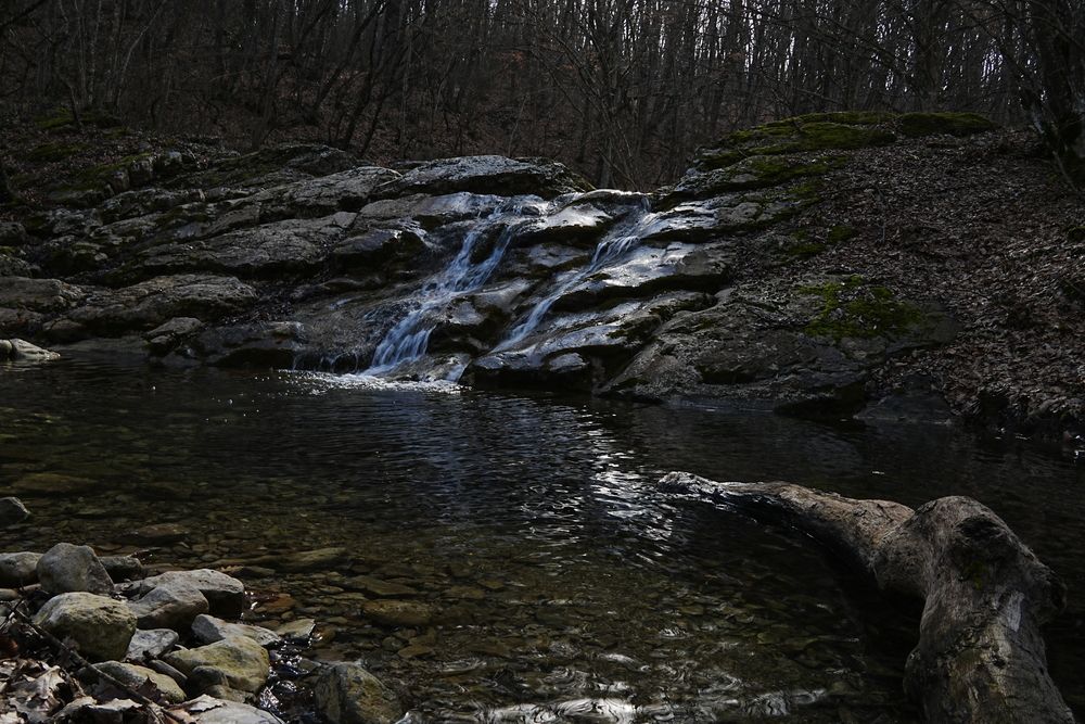 Photograph by света хлевненко