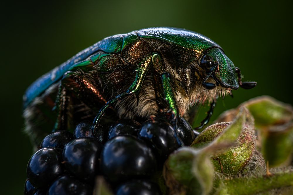 Photograph by Лисицын Андрей