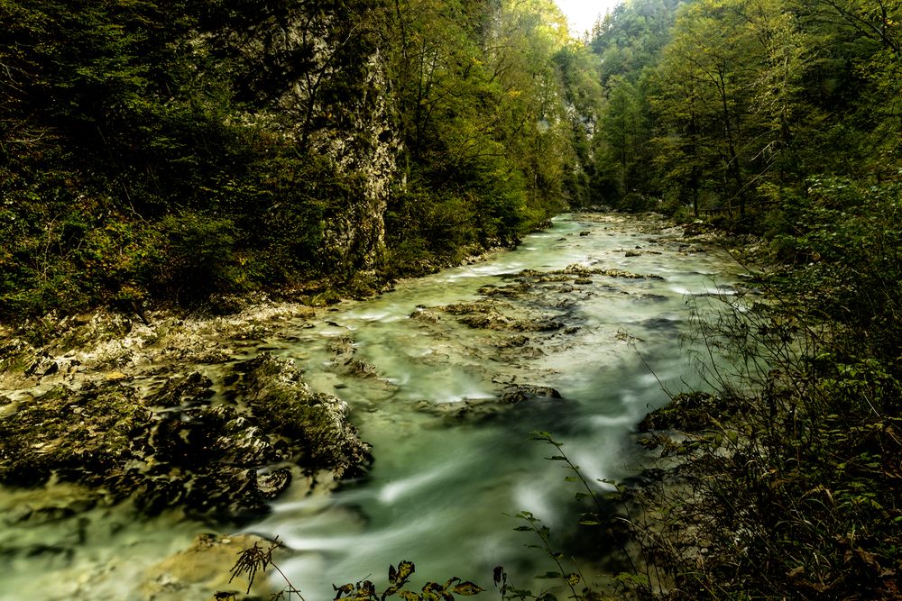 Photograph by Csaba Tálos