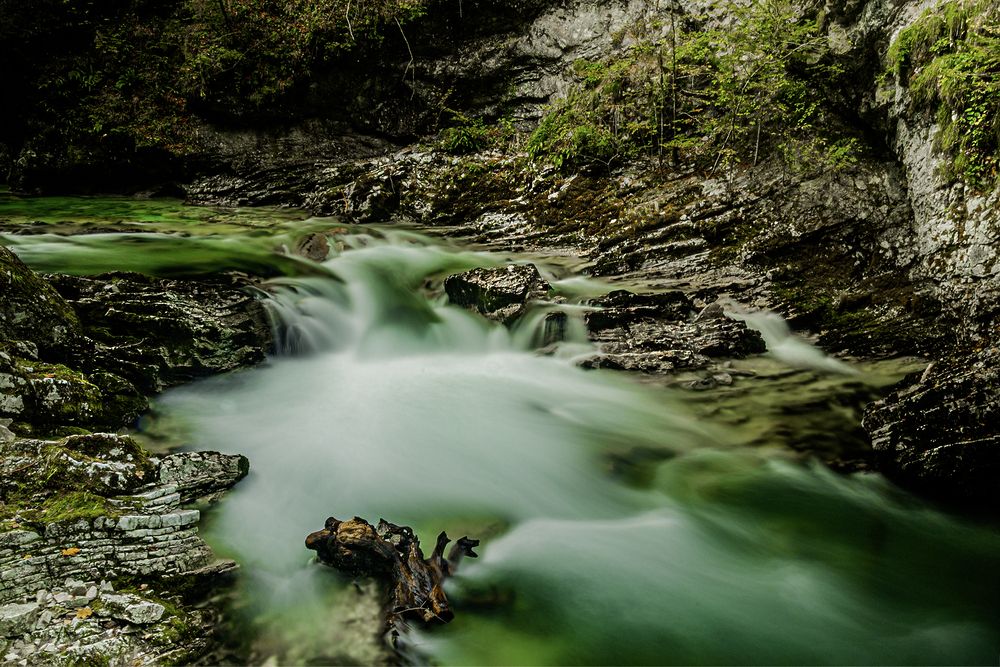 Photograph by Csaba Tálos