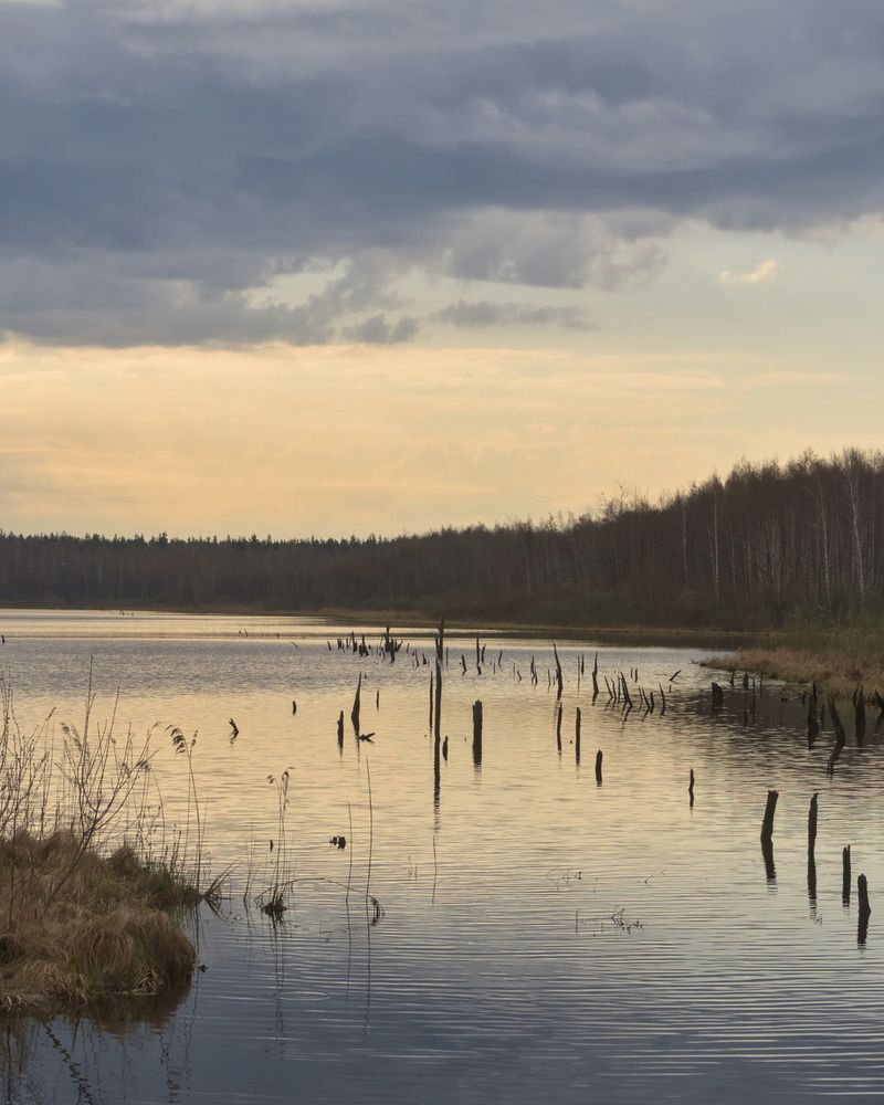 Утро, ветер прохладный