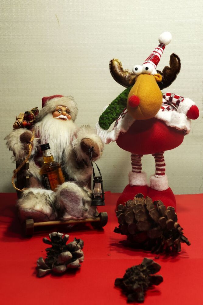 Photograph by Merav Zuberman Perkal