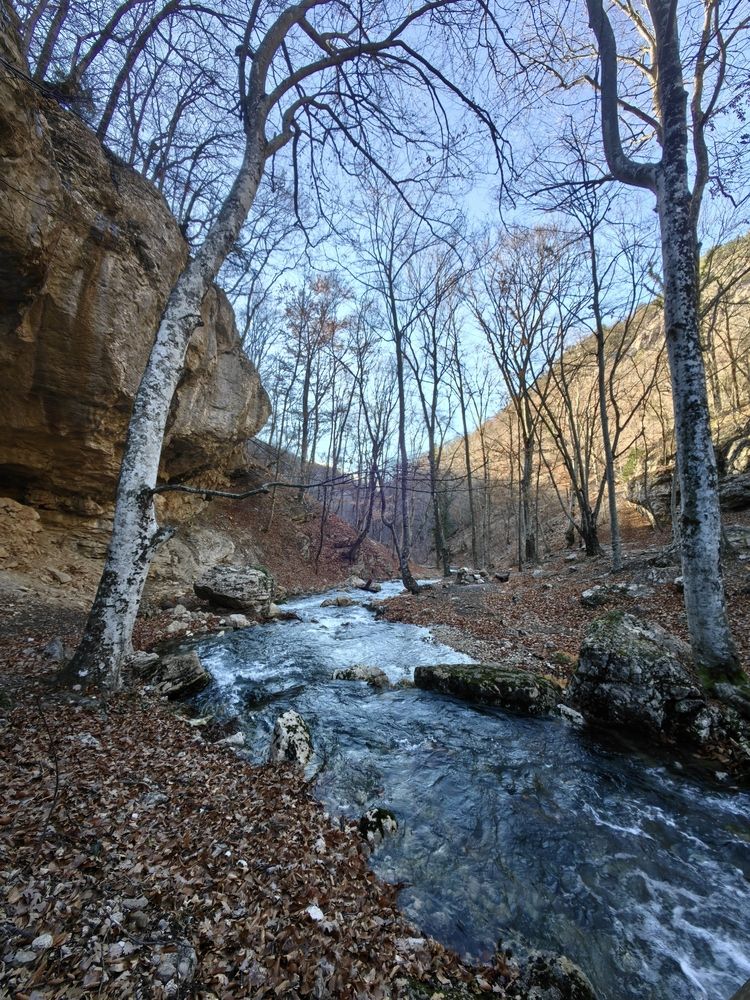 Photograph by Юлия Горелова