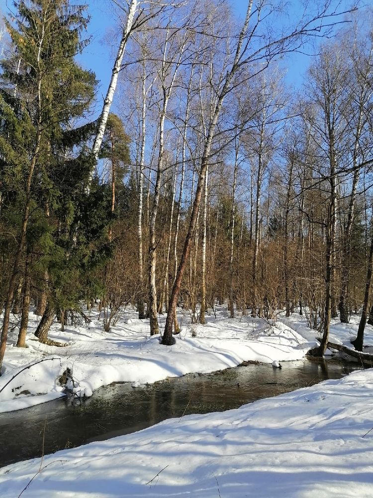 Photograph by Анжелика