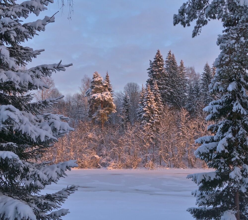 Зимние сказки