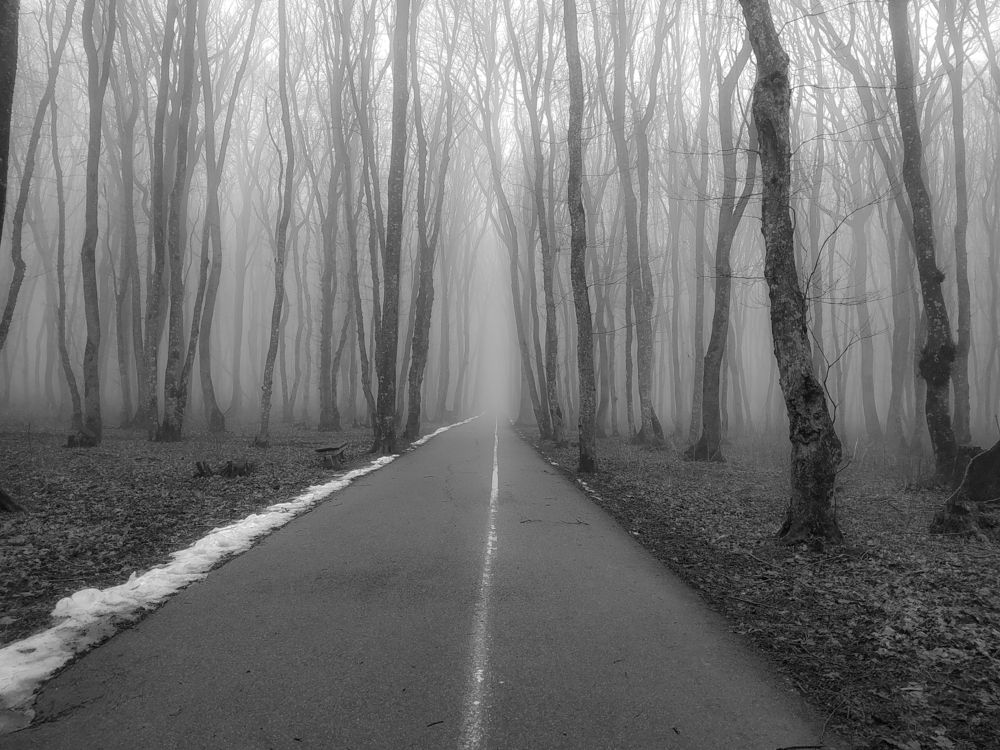Фотография автора Виталий Маслов