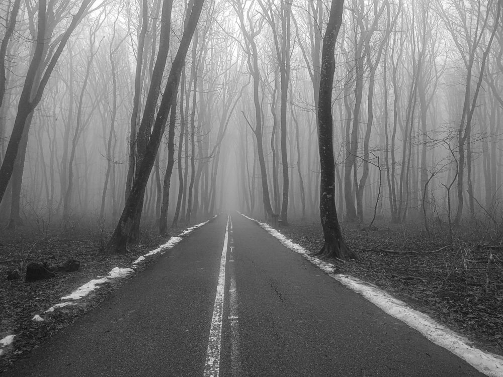 Фотография автора Виталий Маслов