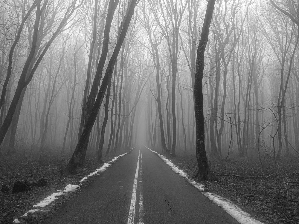 Фотография автора Виталий Маслов