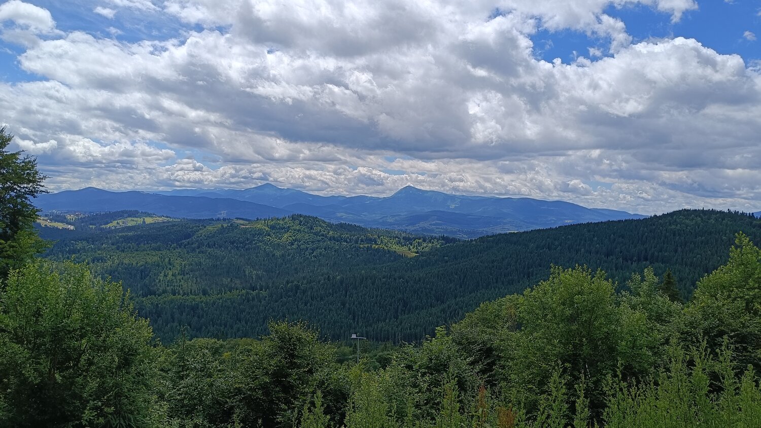Photo #13270432