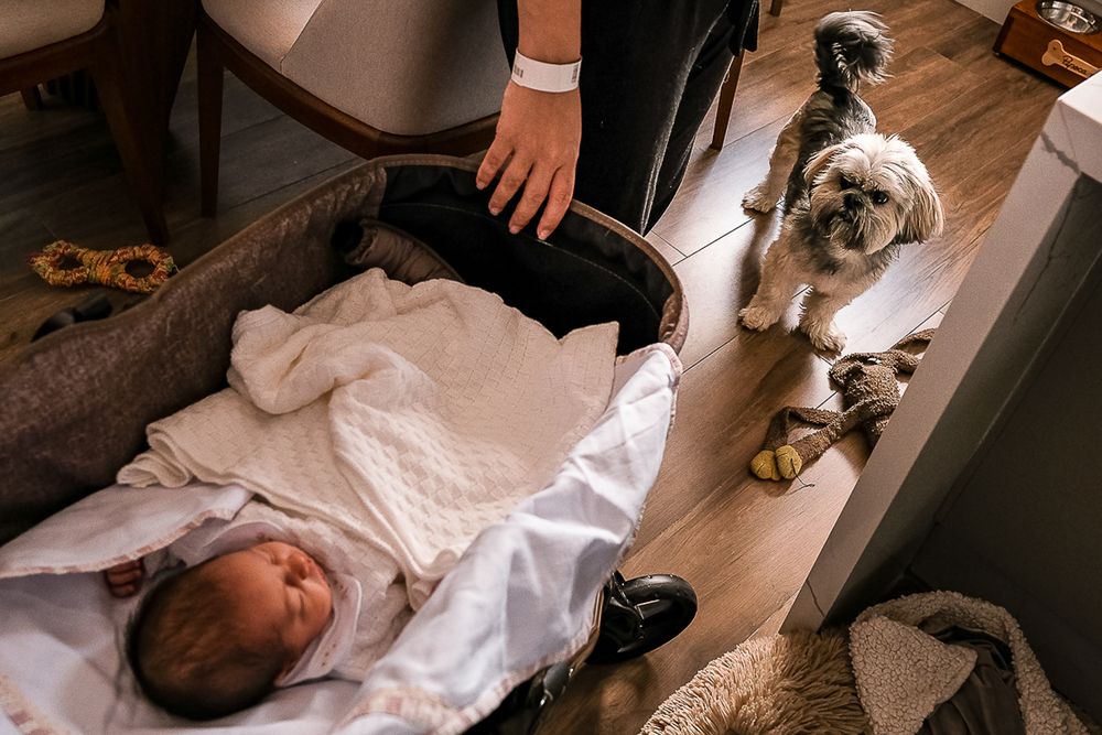 Photograph by ZE AMERICO