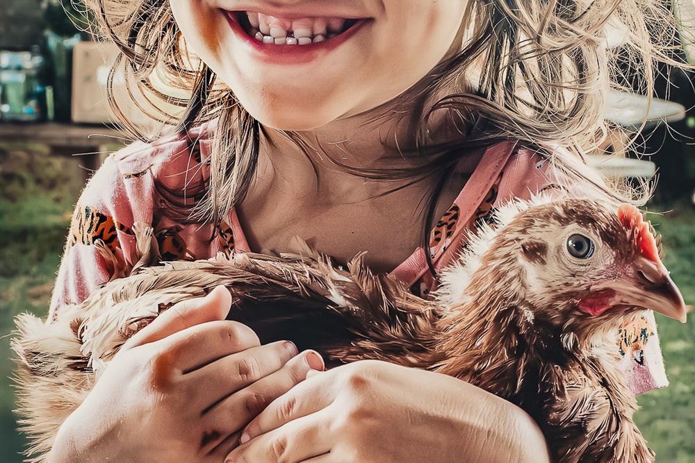 Photograph by ZE AMERICO