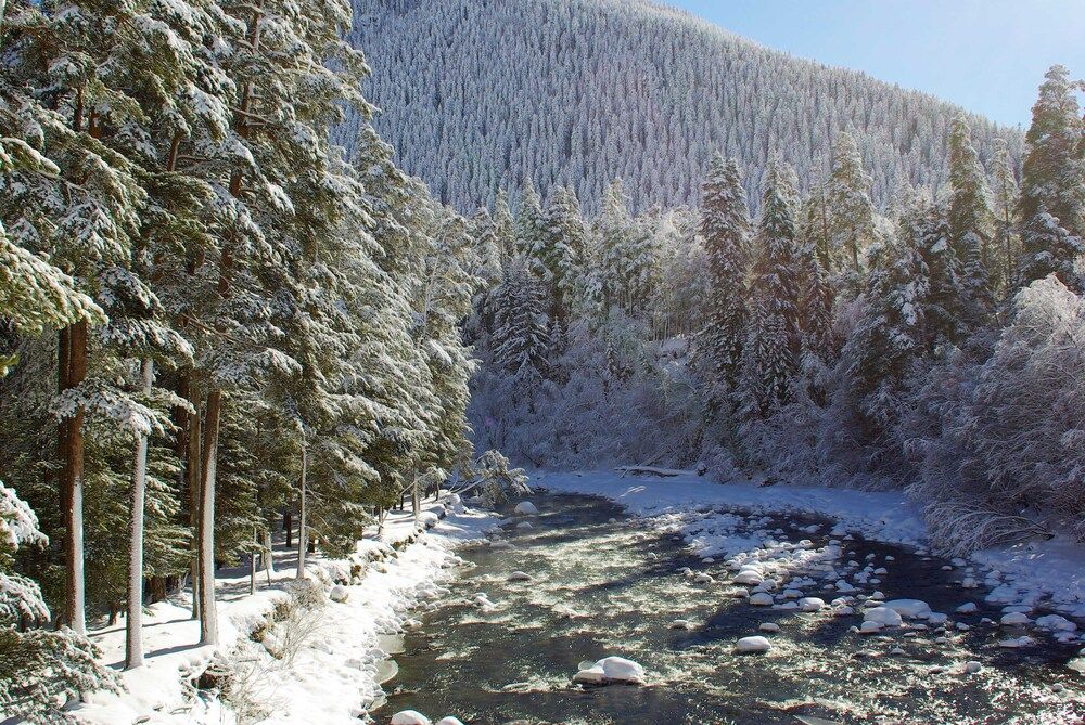 Photograph by Андрей Любимов