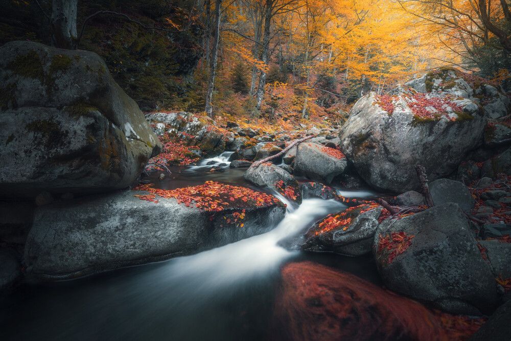 Photograph by Mariyana Atanasova - Lucero